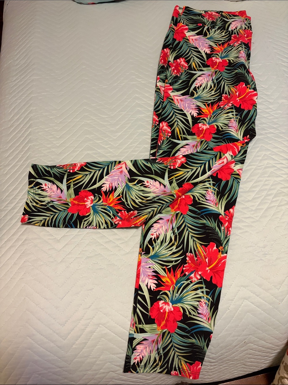 Tropical Floral Stretch Pants- Black with Orange/Red & Green